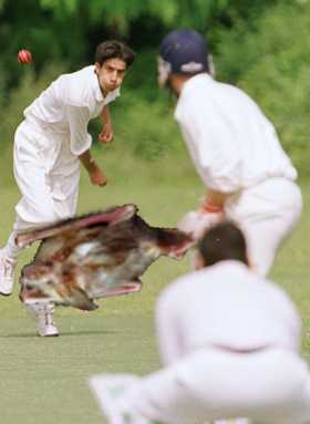CricketBat